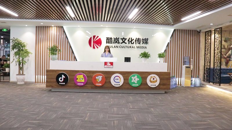 品牌媒介投放：揭秘适合哪些行业的高效策略